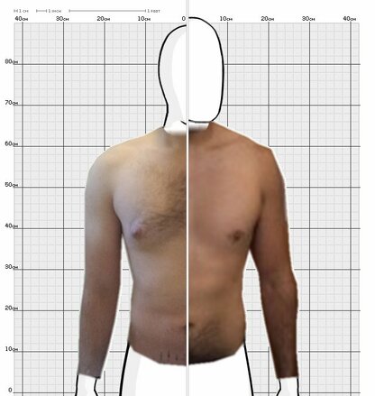 Torso Comparison