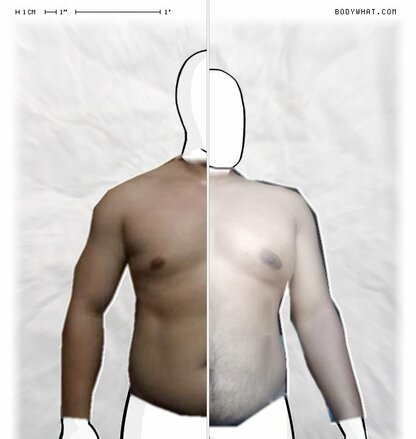 Torso Comparison