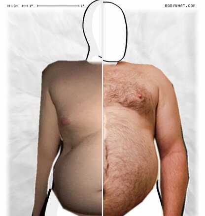 Torso Comparison