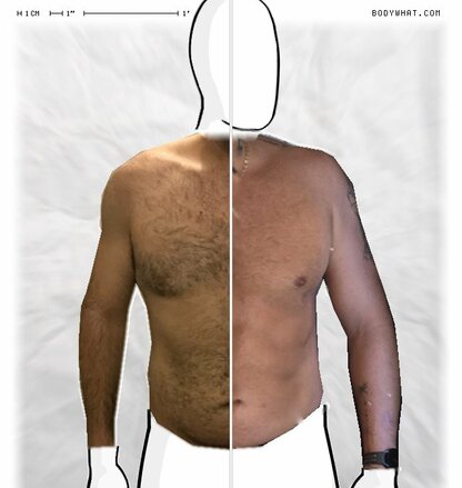 Torso Comparison