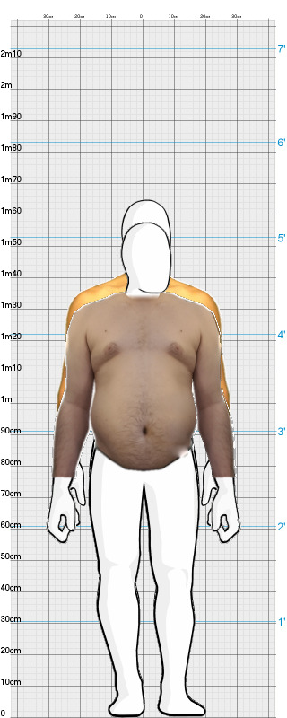 Full Size Comparison