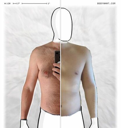 Torso Comparison