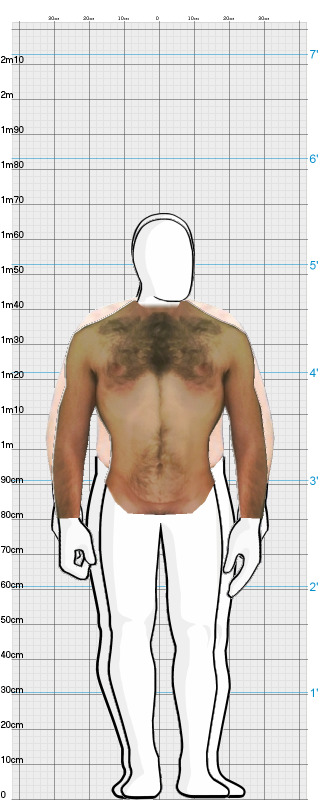 Full Size Comparison