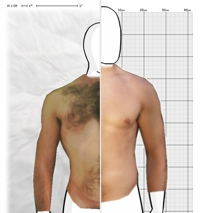 Torso Comparison