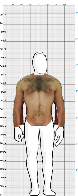 Full Size Comparison