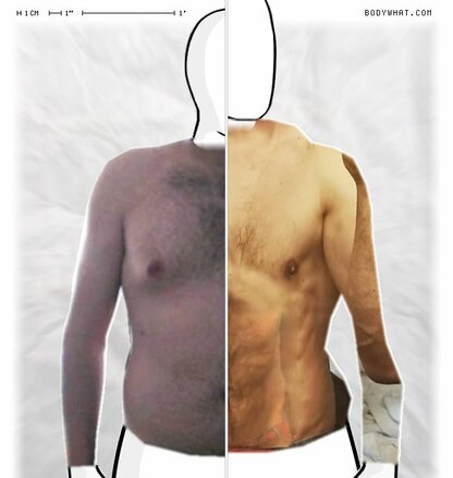 Torso Comparison