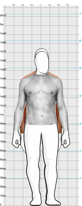 Full Size Comparison