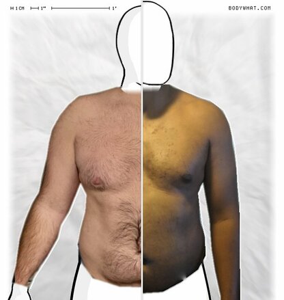 Torso Comparison