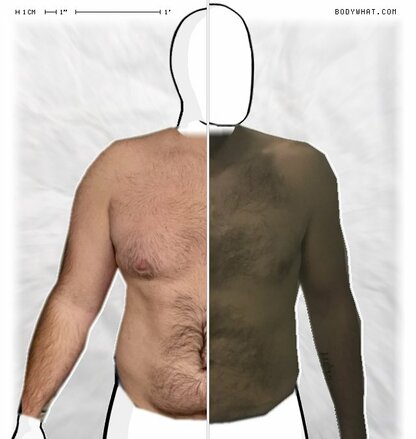 Torso Comparison