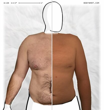 Torso Comparison