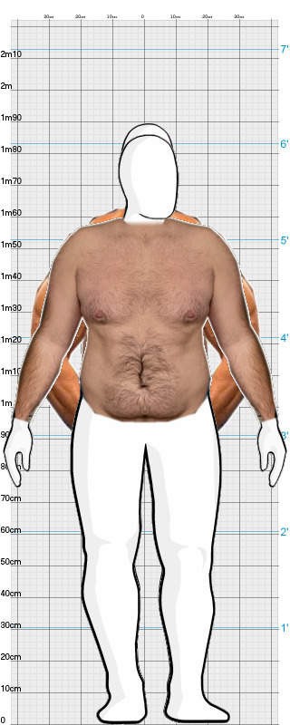 Full Size Comparison