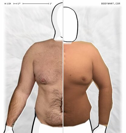 Torso Comparison