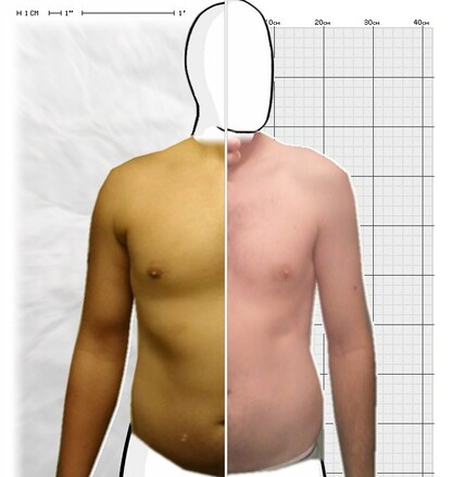 Torso Comparison