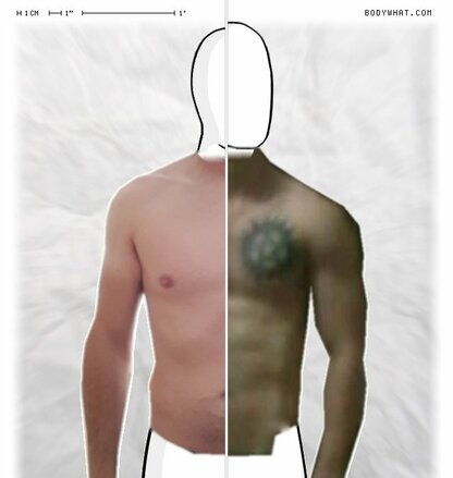 Torso Comparison