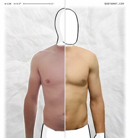 Torso Comparison