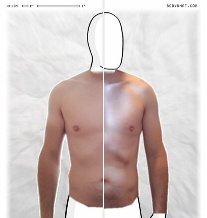 Torso Comparison