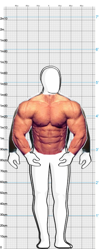 Full Size Comparison