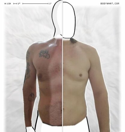 Torso Comparison