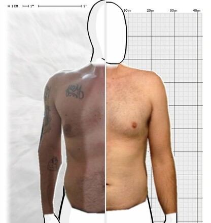 Torso Comparison