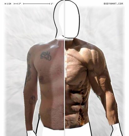 Torso Comparison