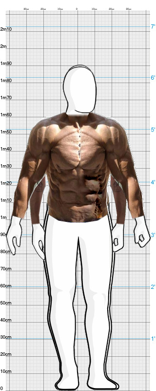 Full Size Comparison