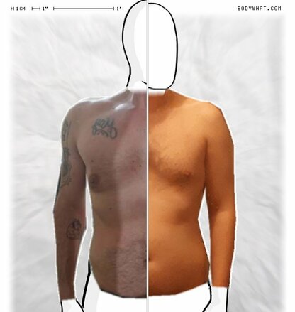 Torso Comparison