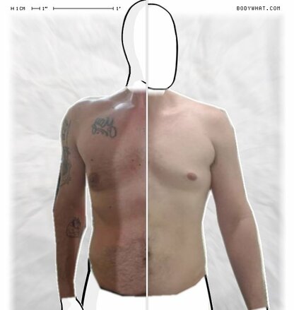 Torso Comparison