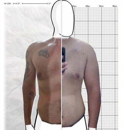 Torso Comparison