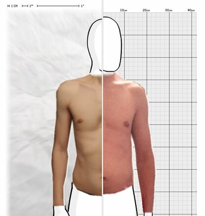 Torso Comparison