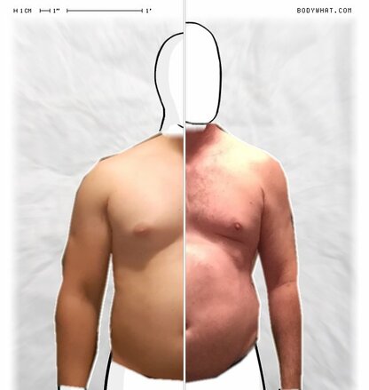 Torso Comparison