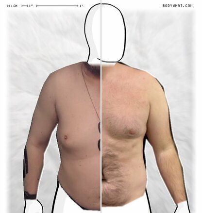 Torso Comparison