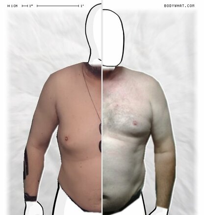 Torso Comparison