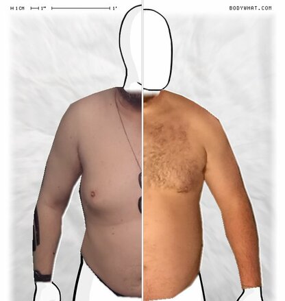 Torso Comparison