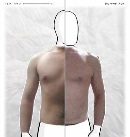 Torso Comparison