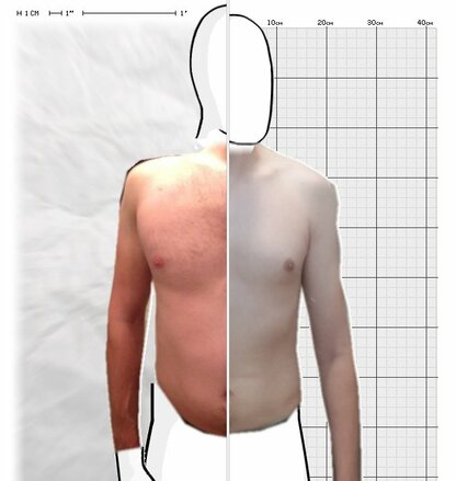 Torso Comparison