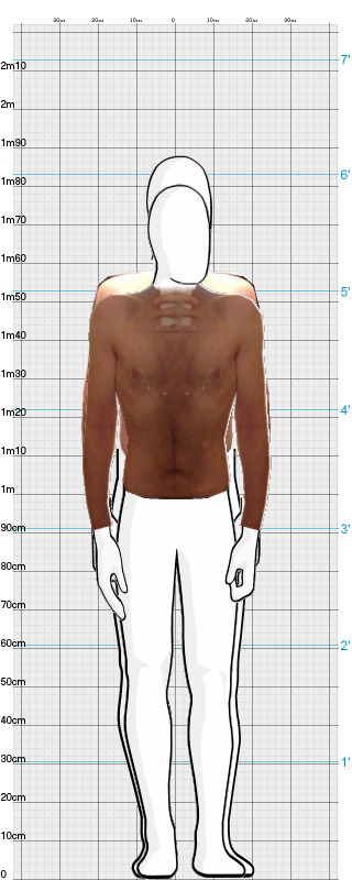 Full Size Comparison