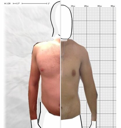 Torso Comparison