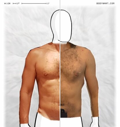 Torso Comparison