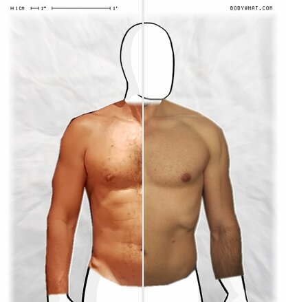 Torso Comparison