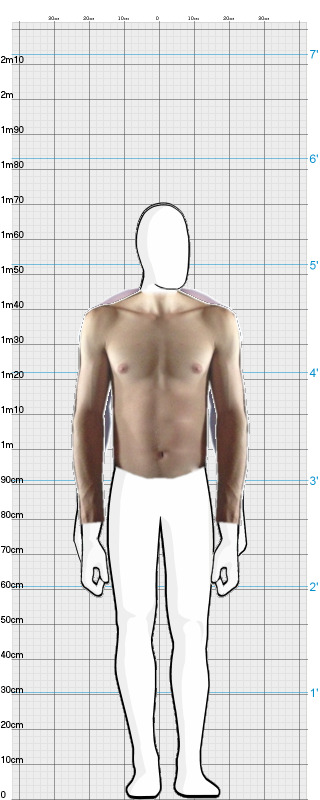 Full Size Comparison