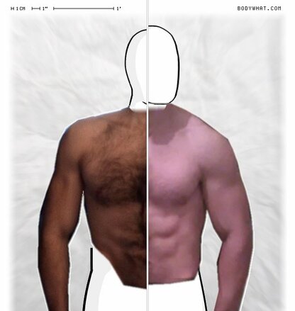 Torso Comparison