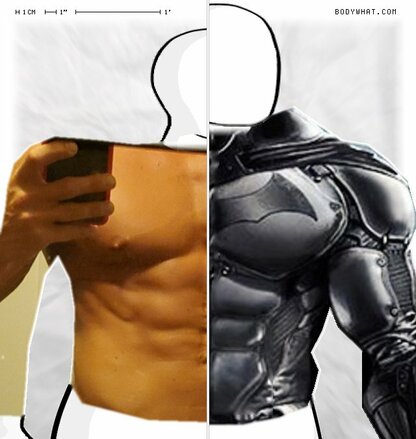 Torso Comparison