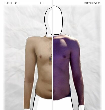 Torso Comparison