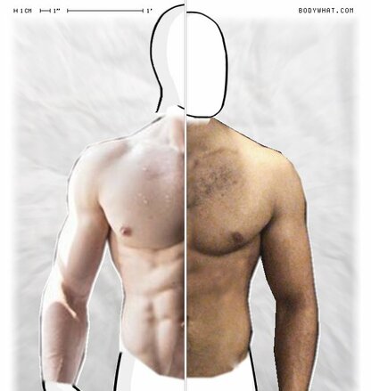 Torso Comparison
