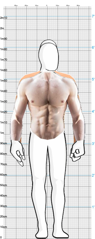 Full Size Comparison