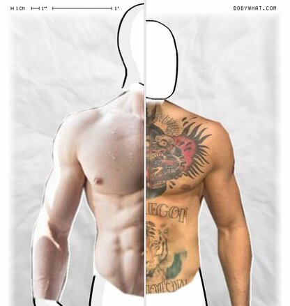 Torso Comparison