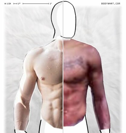 Torso Comparison