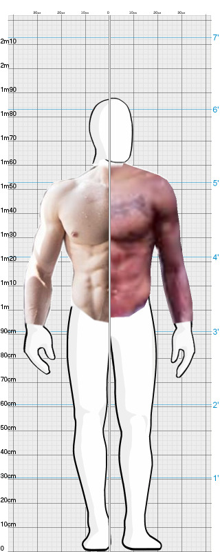 Full Size Comparison