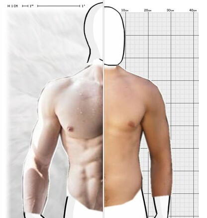 Torso Comparison