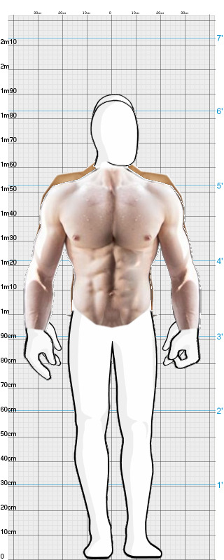 Full Size Comparison